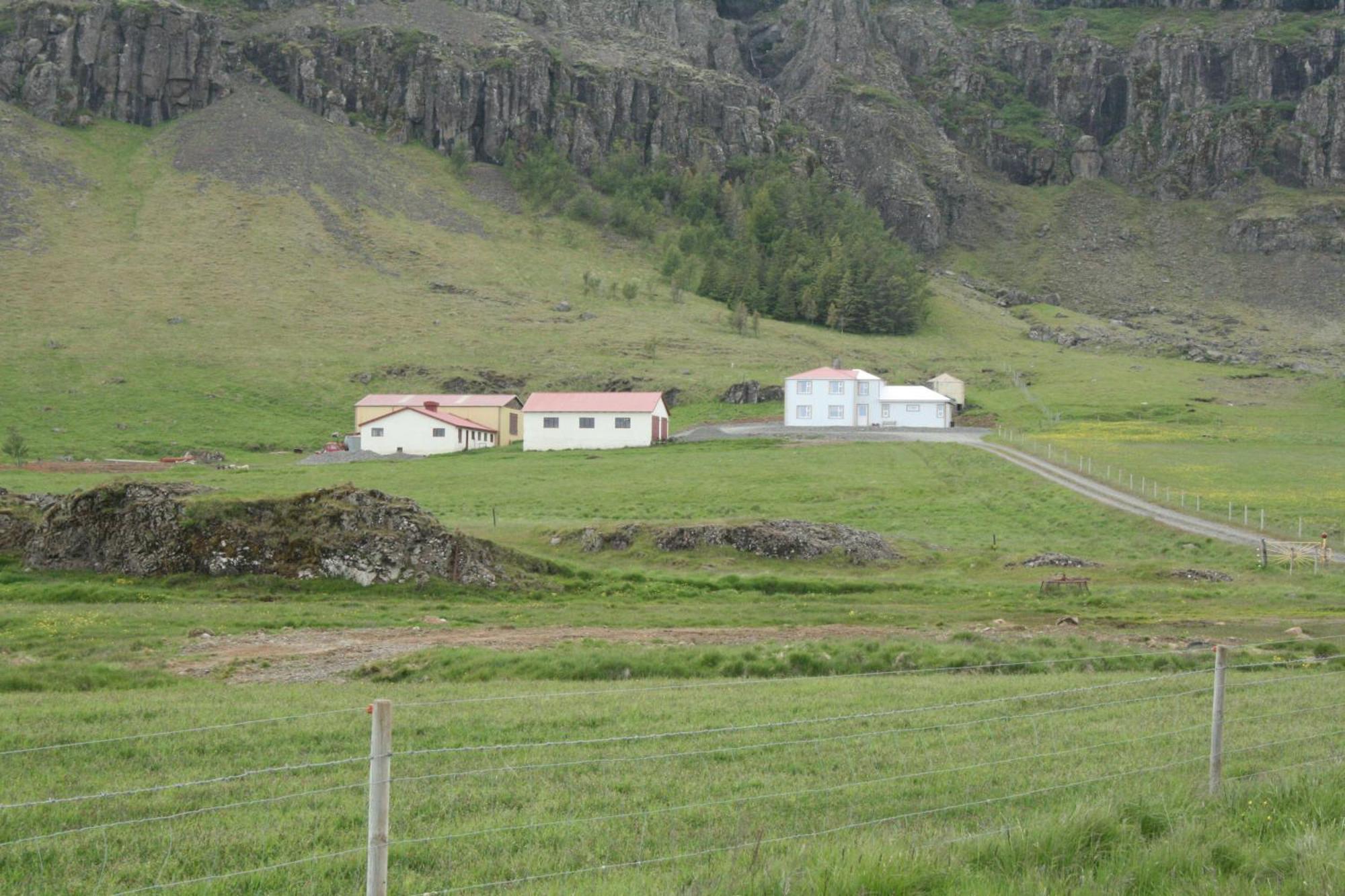 Guesthouse Stekkatun Skálafell Εξωτερικό φωτογραφία